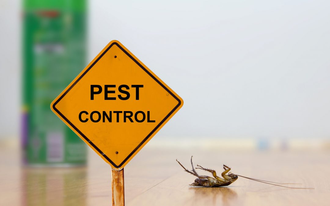 pest control leads